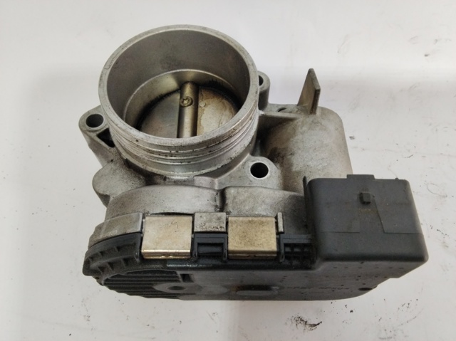 0280750085 Cuerpo de mariposa comprar Almería