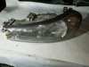 Faros delantero izquierdo 0301098205 FORD