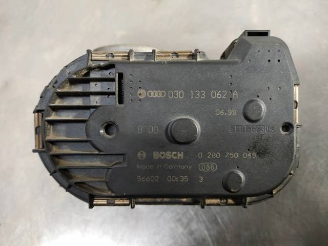 030133062A Cuerpo de mariposa completo  disponible Burgos