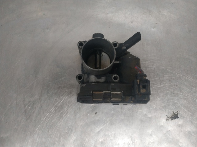 030133062A Cuerpo de mariposa completo  comprar en Zaragoza