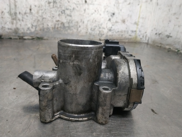 030133062C Cuerpo de mariposa completo  disponible Burgos