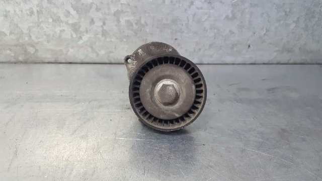 Rodillo de cadena 036109243AG VAG
