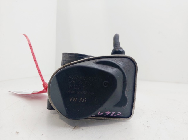 036133062L Cuerpo de mariposa comprar Girona