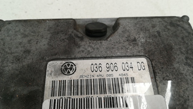 036906034DG VAG