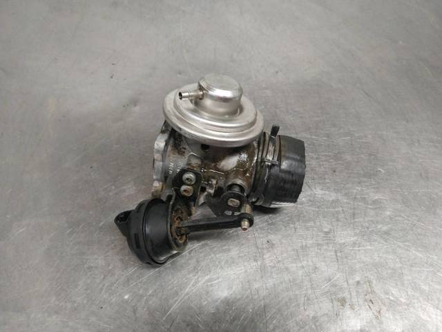 EGR 038129637 VAG