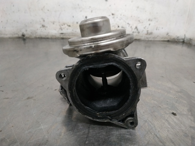 038129637L VAG Válvula EGR comprar Madrid