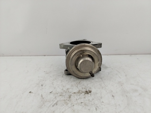 038131501AN Válvula EGR comprar Girona