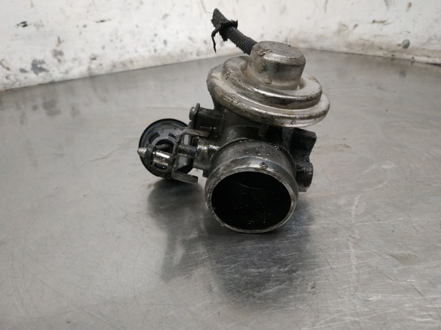 Válvula, AGR Volkswagen Caddy 2 9K9