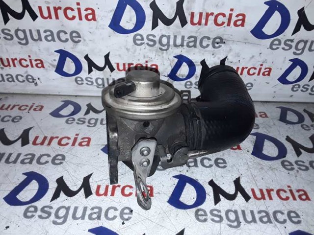 038131501M Válvula EGR de recirculación de gases  comprar en Pontevedra