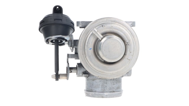EGR 038131501M VAG