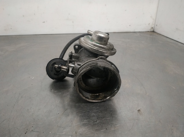 EGR 038131501T VAG