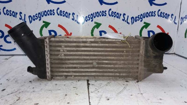 0384F6 PEUGEOT Intercooler  en stock Córdoba
