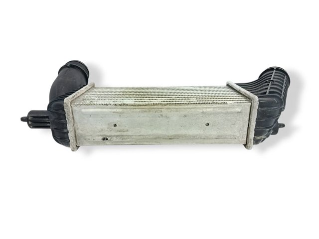 Radiador de aire, intercooler Citroen Jumpy II ()
