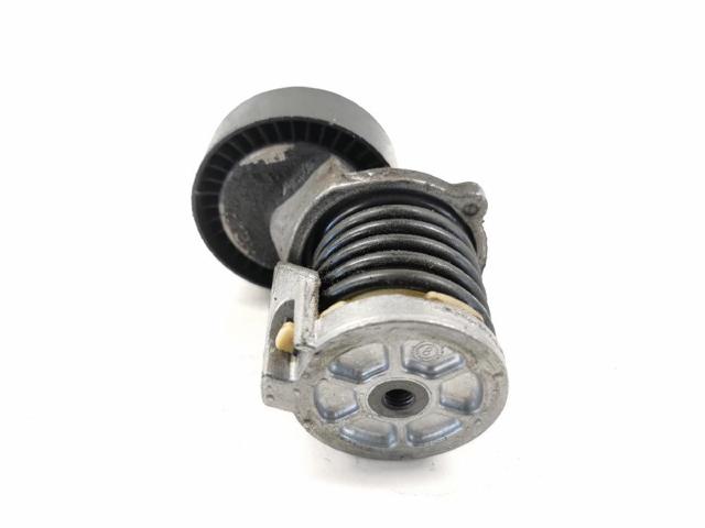 Tensor de correa, correa poli V Volkswagen Tiguan 1 5N1, 5N2