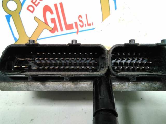 038906013E VAG