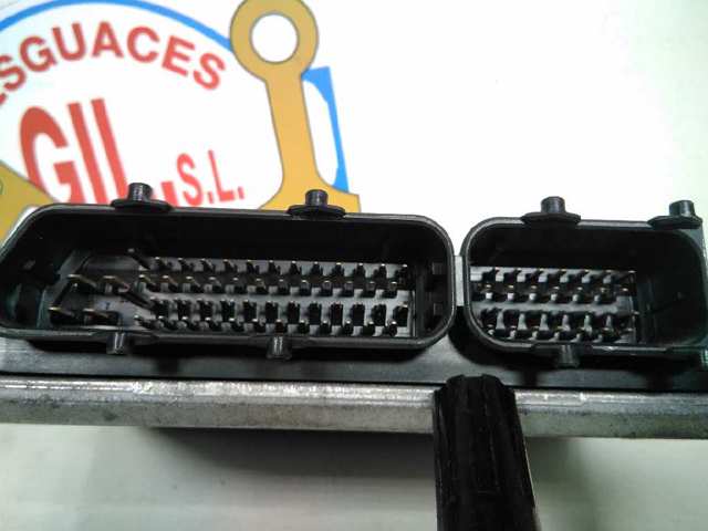 038906018BL VAG