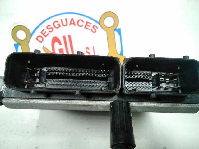 038906019AM VAG