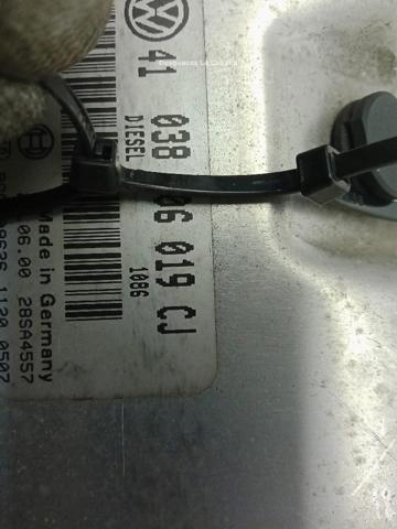 038906019CJ VAG Unidad de control del motor (ECU)  comprar en Jaén
