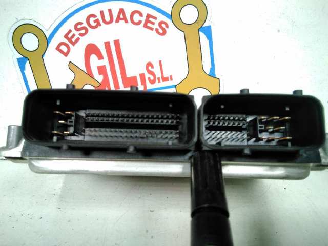 038906019CK VAG