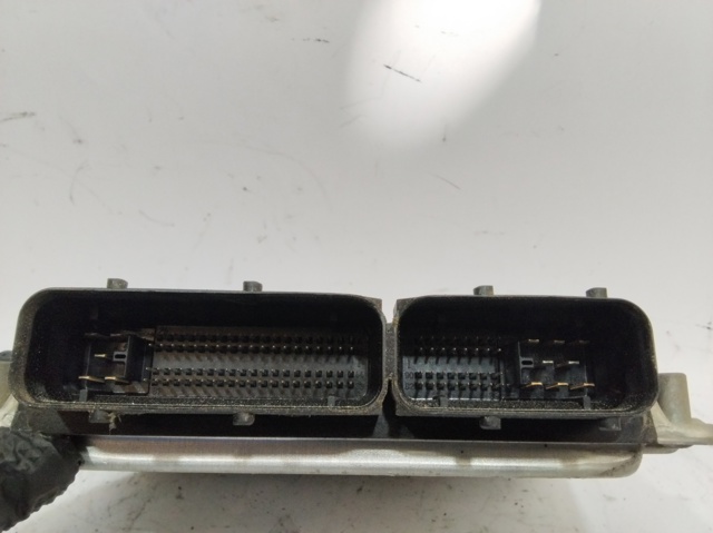 038906019NE VAG ECU comprar Madrid