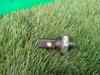 Sensor de aceite Volkswagen Passat 200 B6