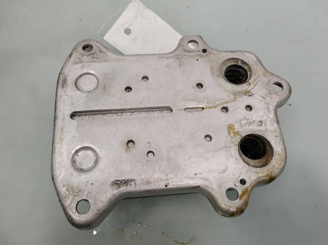VAG 03C117021E Radiador de aceite  comprar en Albacete