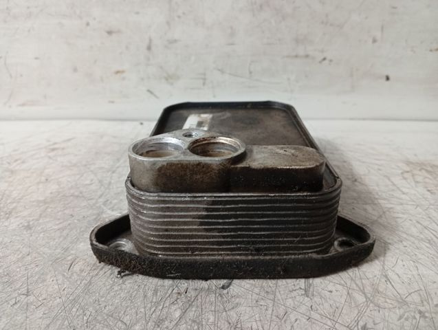VAG 03C117021E Radiador de aceite  disponible Valladolid
