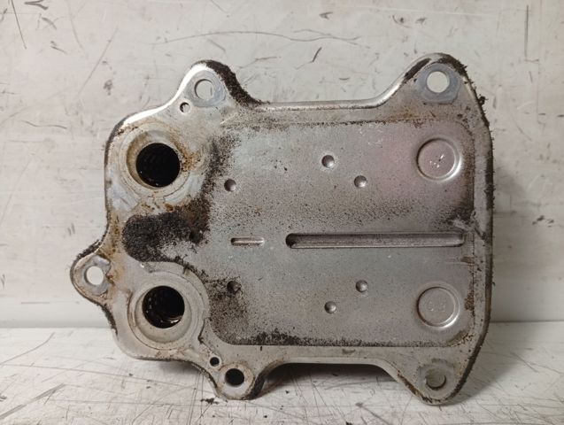 03C117021E VAG Radiador de aceite  disponible Alicante