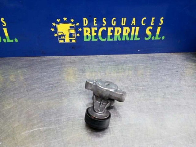 Rodillo, correa trapecial poli V Volkswagen Tiguan 1 5N1, 5N2