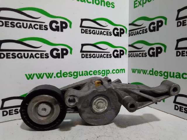 03G903315 Tensor de correa poli V comprar Sevilla