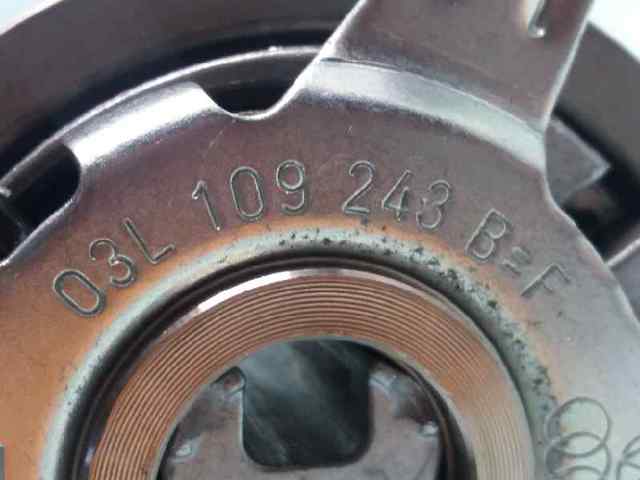 Rodillo, cadena de distribución Audi A6 4G2, 4GC