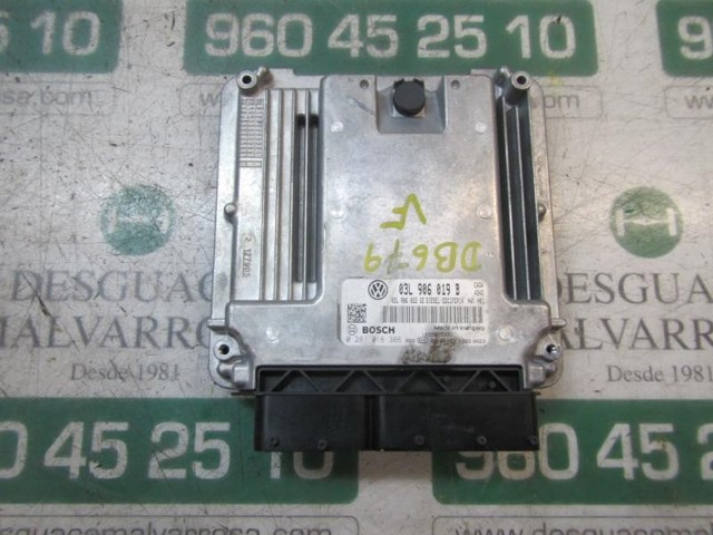 03L906019B VAG