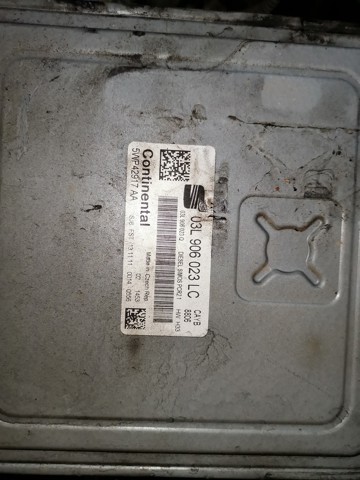 03L906023LC VAG