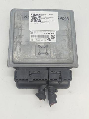 03L906023LP VAG
