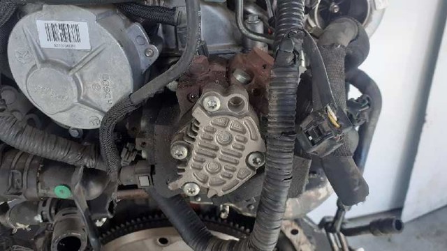 0445010170 Nissan/Infiniti