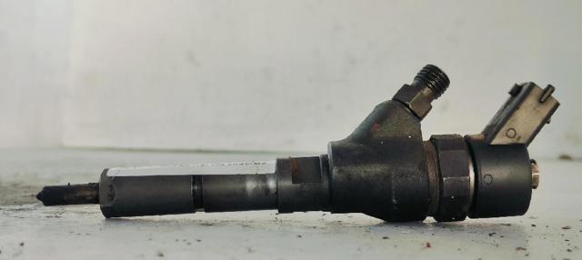 0445110008 PEUGEOT Inyector  en stock Córdoba