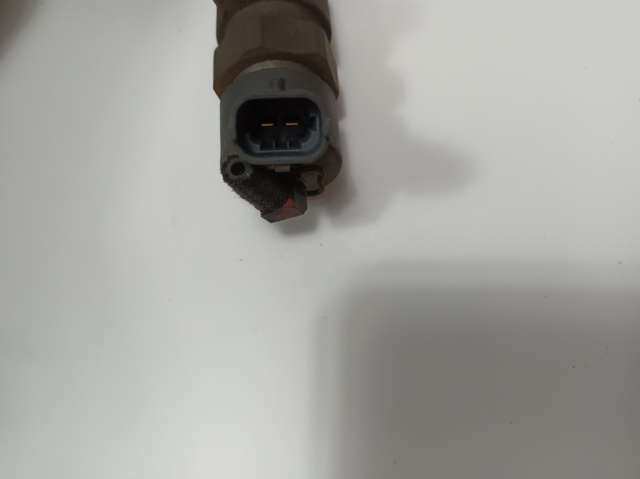 FIAT 0445110019 Inyector comprar Pamplona