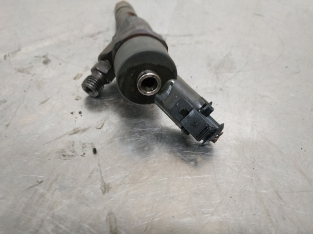 0445110021 Renault (RVI)