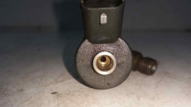 0445110021 RENAULT Inyector de combustible  disponible Alicante
