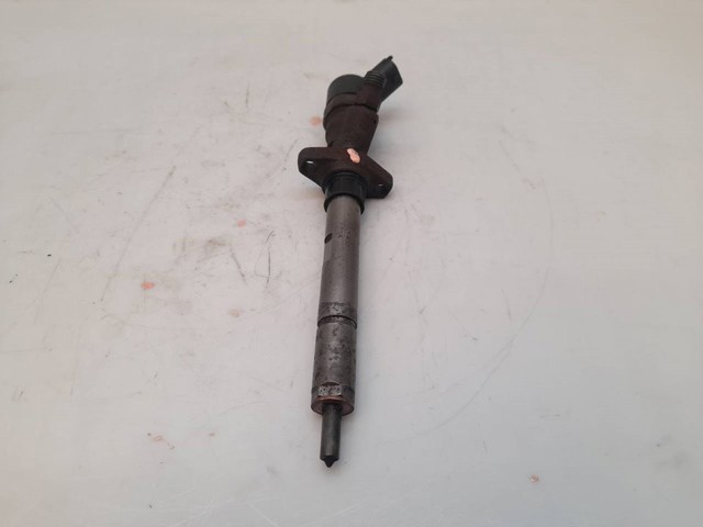 0445110036 PEUGEOT Inyector de combustible  disponible Ourense