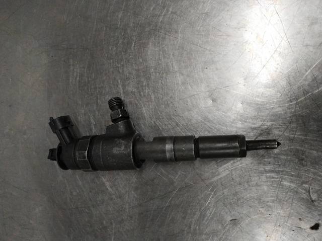 Inyectores 0445110075 PEUGEOT