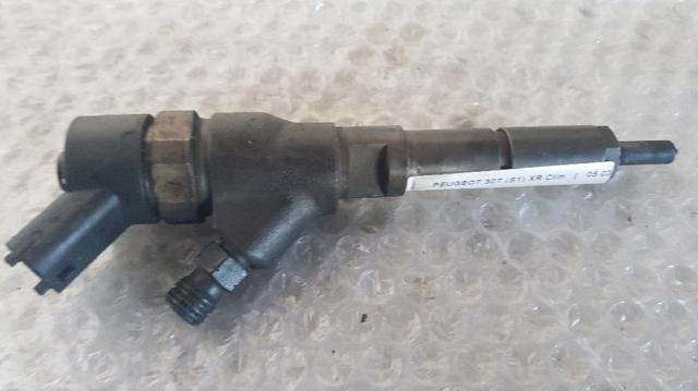 0445110076 PEUGEOT Inyector de combustible  comprar en Lleida