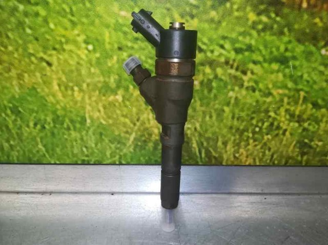 0445110076 PEUGEOT Inyector de combustible  disponible Ourense
