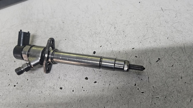 0445110078 Inyector de combustible  disponible Málaga