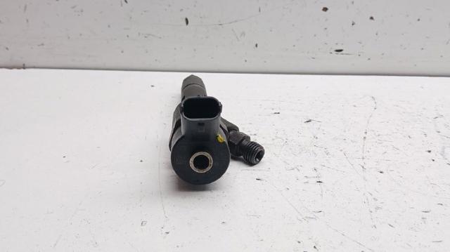 0445110110 RENAULT Inyector de combustible  comprar en Jaén