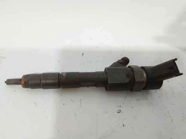 0445110110 RENAULT Inyector de combustible  disponible Ourense
