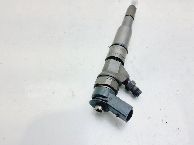 0445110209 BMW Inyector de combustible  comprar en Jaén