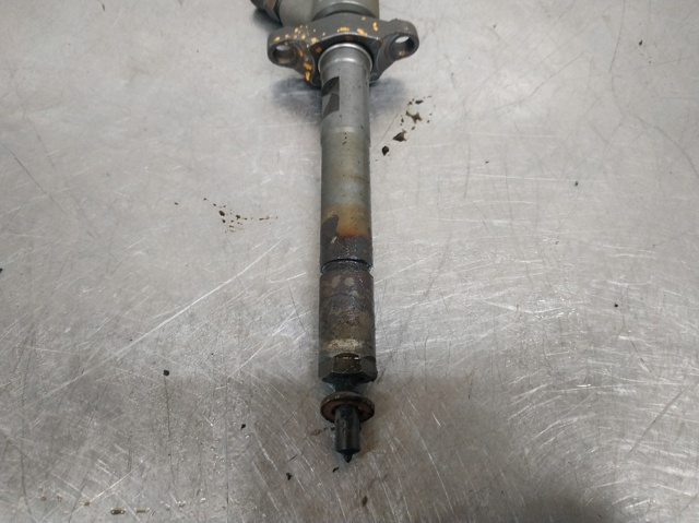 0445110239 Peugeot/Citroen