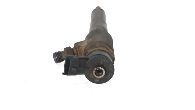 0445110252 Inyector de combustible  disponible Málaga