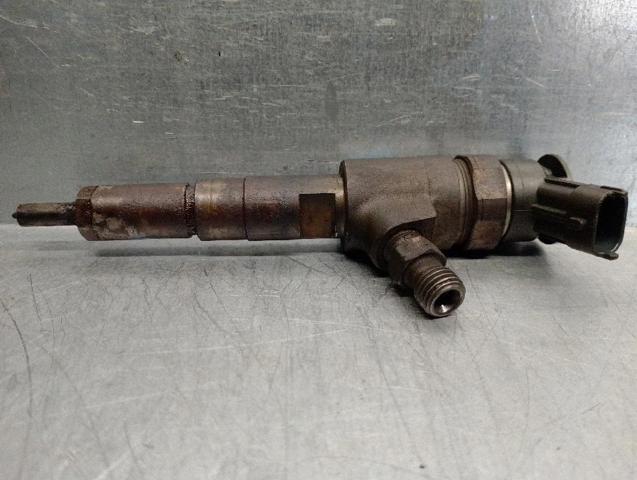 0445110252 Peugeot/Citroen